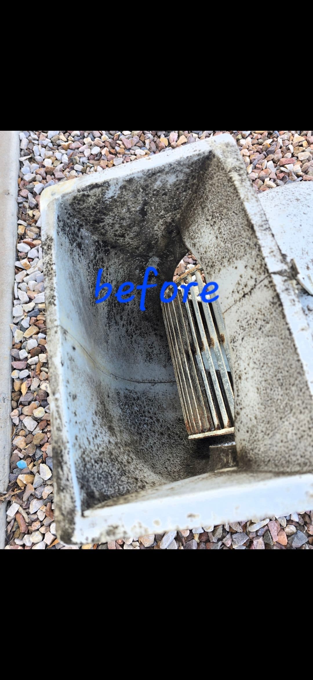 Project Why We Clean the Blower Wheel During Every Motor Swap image